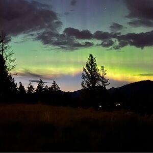 Meet your Posher, River